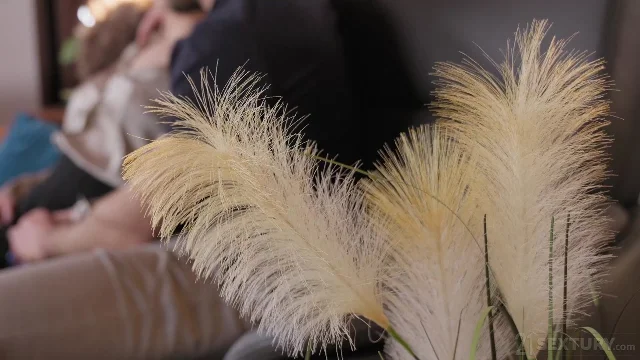 Preview of AssholeFever Felice Morgan Craving A Creampie XXX